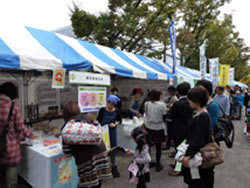 東京聖栄大学