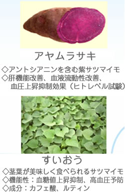 公益財団法人すこやか食生活協会