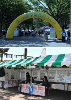 東京聖栄大学